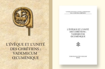 Vademecum graphic for website-with crozier-FR