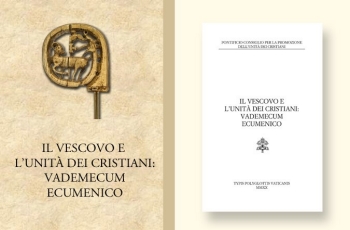Vademecum graphic for website-with crozier-IT
